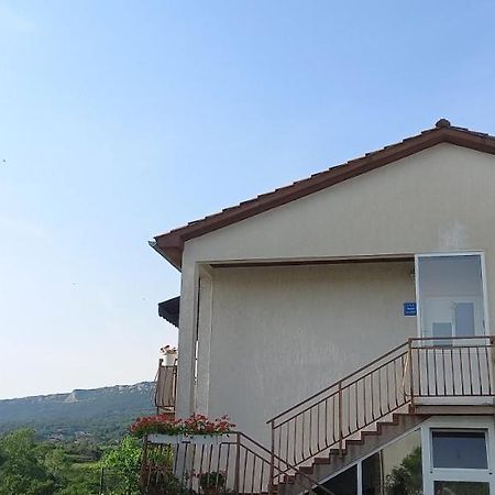Apartman Anita Buzet Kültér fotó
