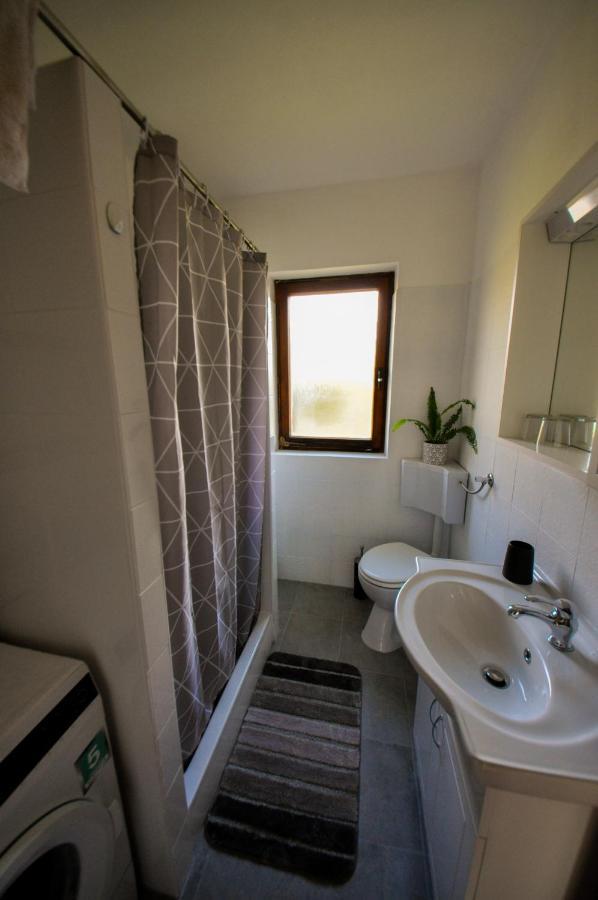 Apartman Anita Buzet Kültér fotó
